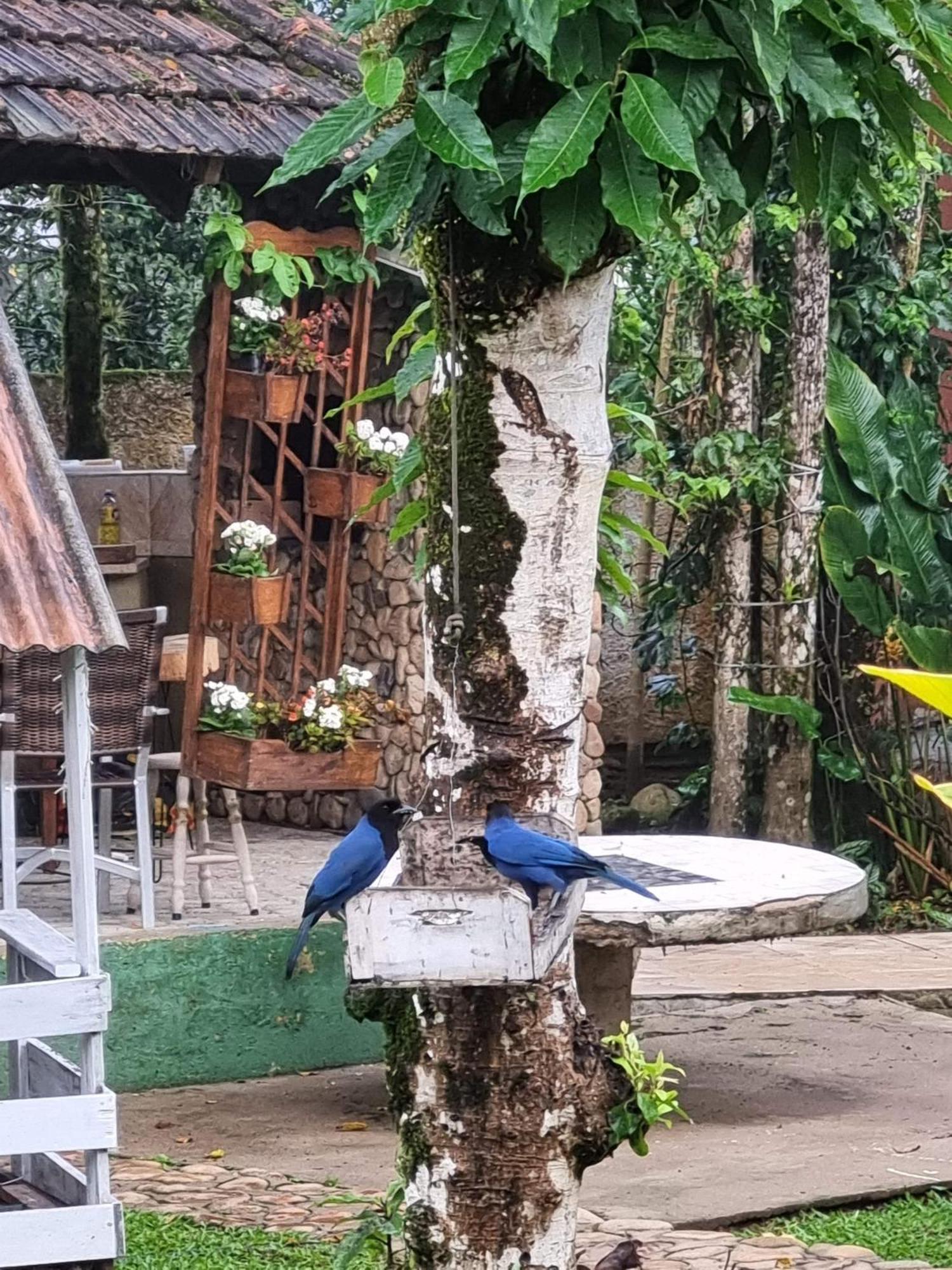 Apartamento Pousada Siroba Beira Rio Morretes Exterior foto